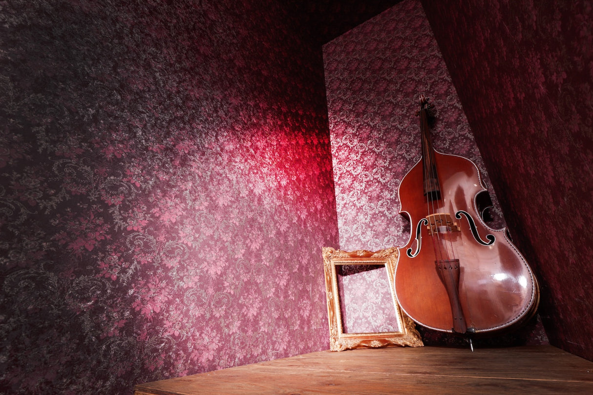 STUDIO SHOWCASE Di