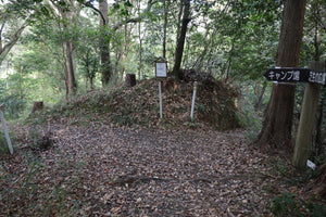 大多喜 森林公園