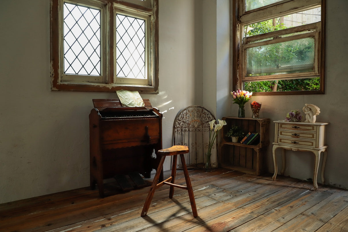STUDIO SHOWCASE blooming