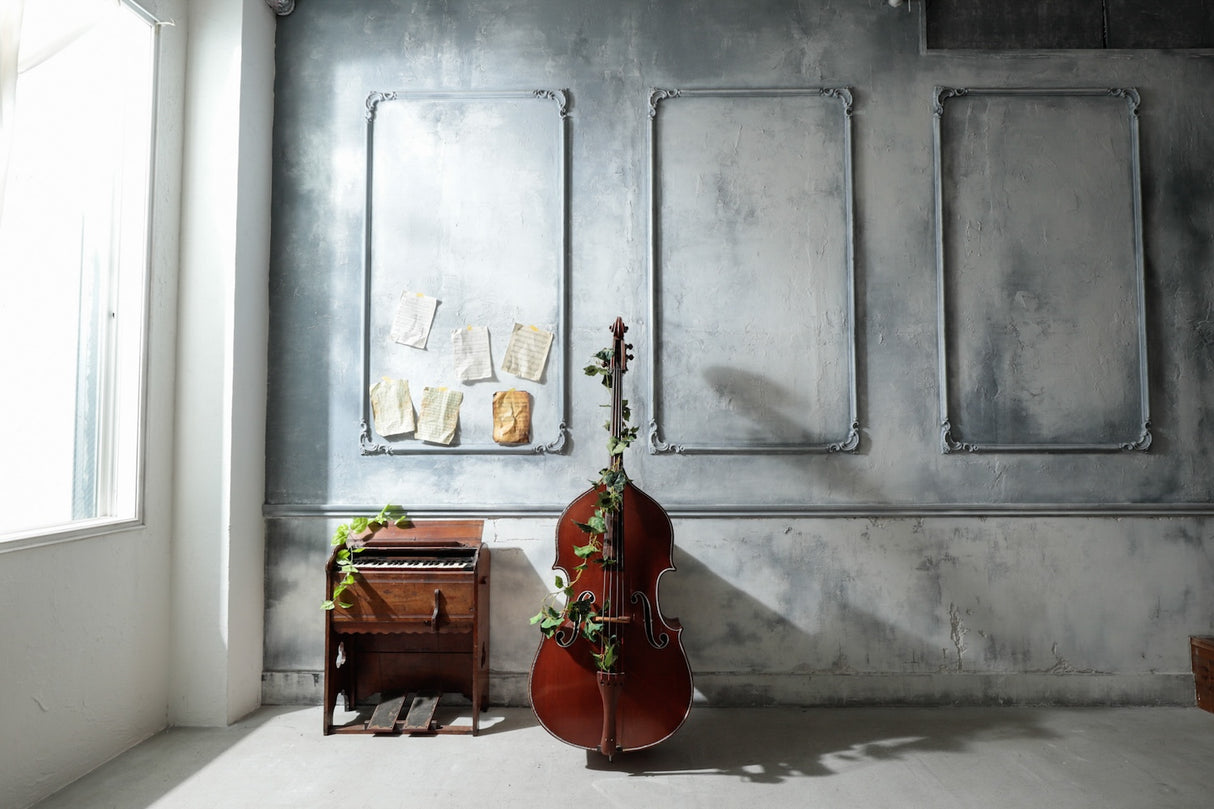 STUDIO SHOWCASE blooming