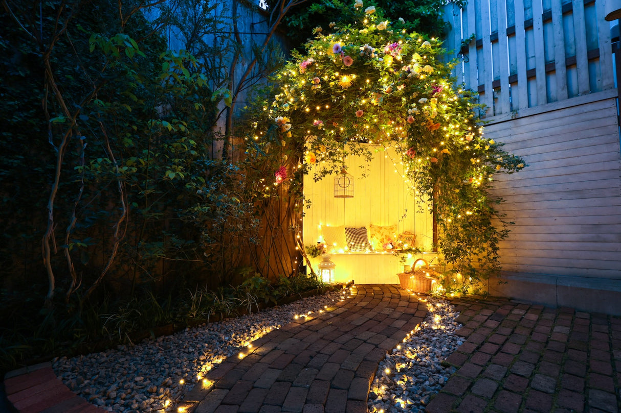STUDIO SHOWCASE blooming