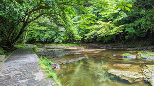 大多喜 川沿いの遊歩道
