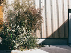 Natural Wood House 八王子
