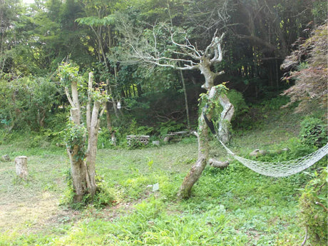 昭和古民家 蓬の家｜撮影スタジオ キャンプ